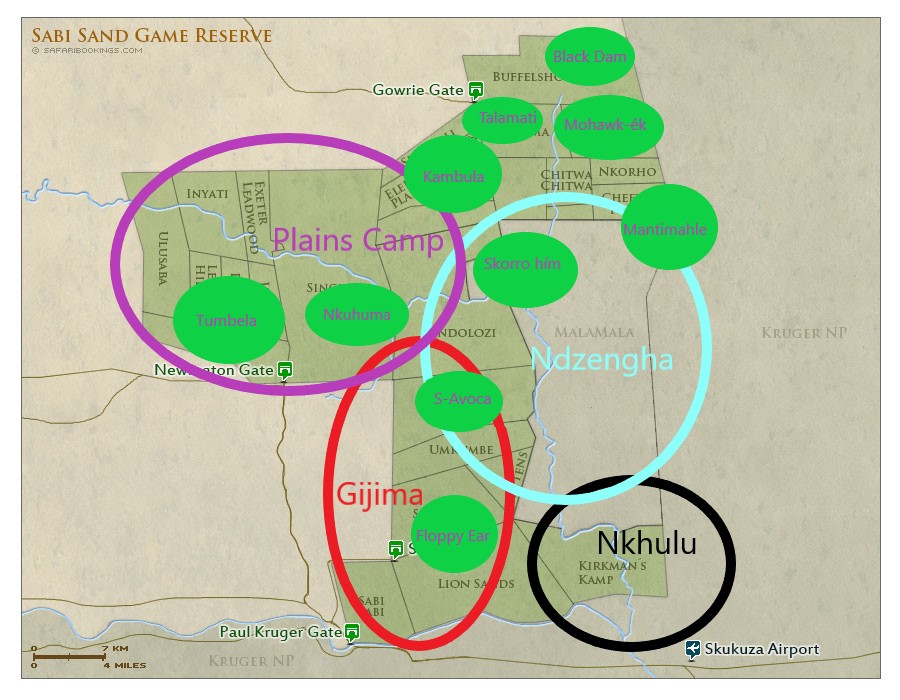 Sabi Sands Reservátum hím oroszlánjai 2024 március - április